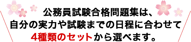 過去問データに沿った公務員試験合格問題集は、自分の実力や試験までの日程に合わせて問題集の内容やセット数が選べます。